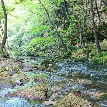 Blkaya Doga Park Мотель *